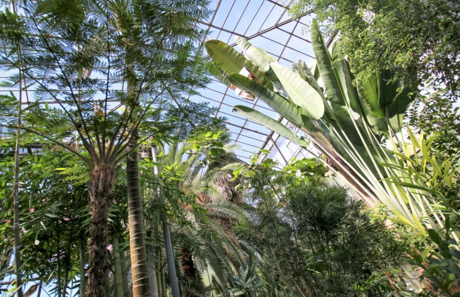 Botanical Garden of KIT, Karlsruhe, Germany, Germany